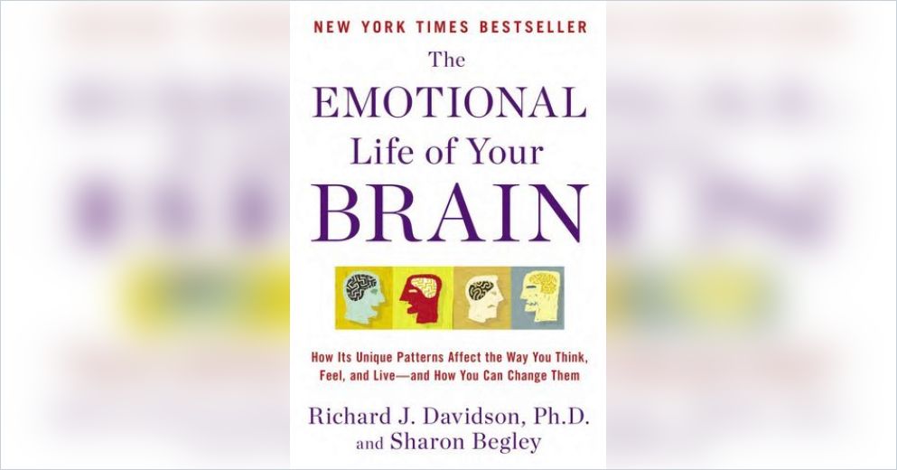 The Emotional Life Of Your Brain Summary | Richard J. Davidson And ...