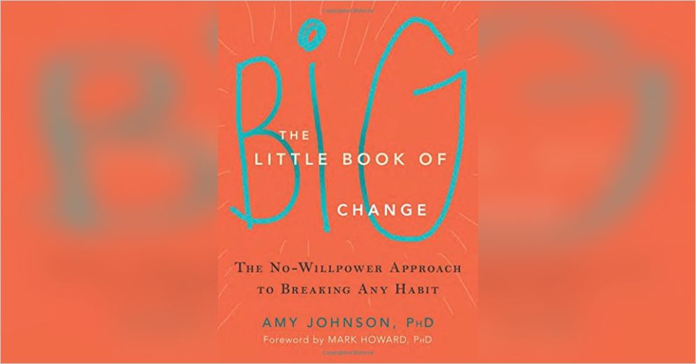 The Little Book of Big Change Summary | Amy Johnson (PhD)