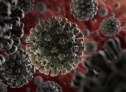 Image of: Coronavirus-Pandemie