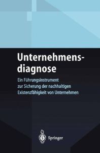 Unternehmensdiagnose