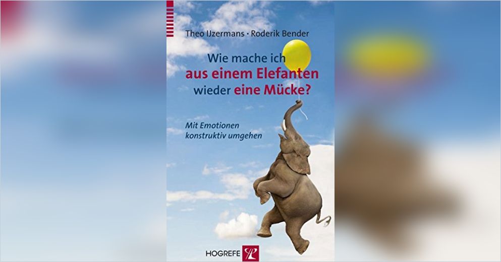 Wie mache ich aus einem Elefanten wieder eine Mücke? von Theo IJzermans