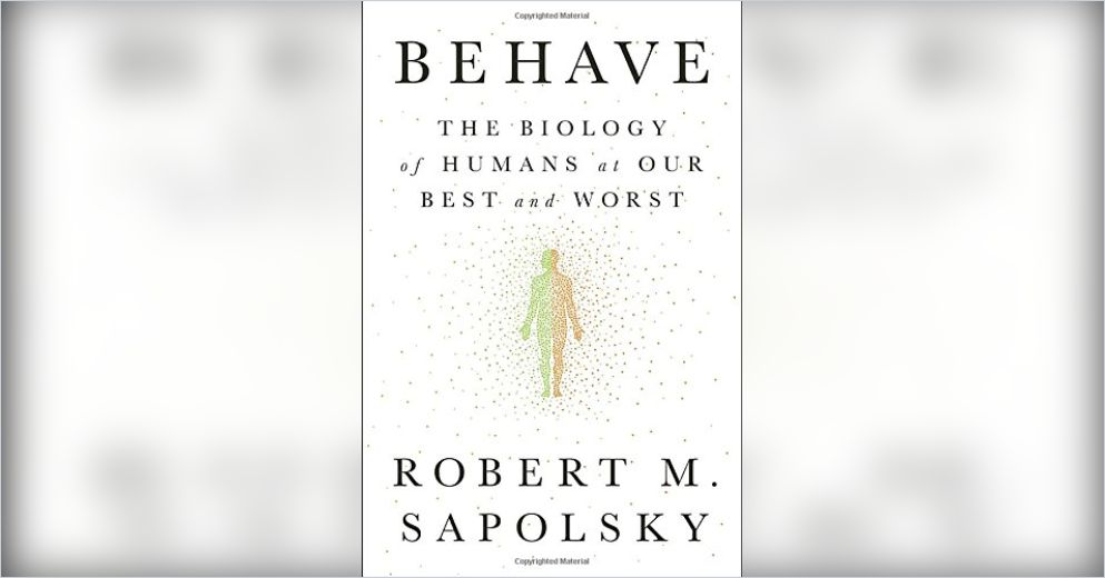 Behave Free Summary By Robert M Sapolsky