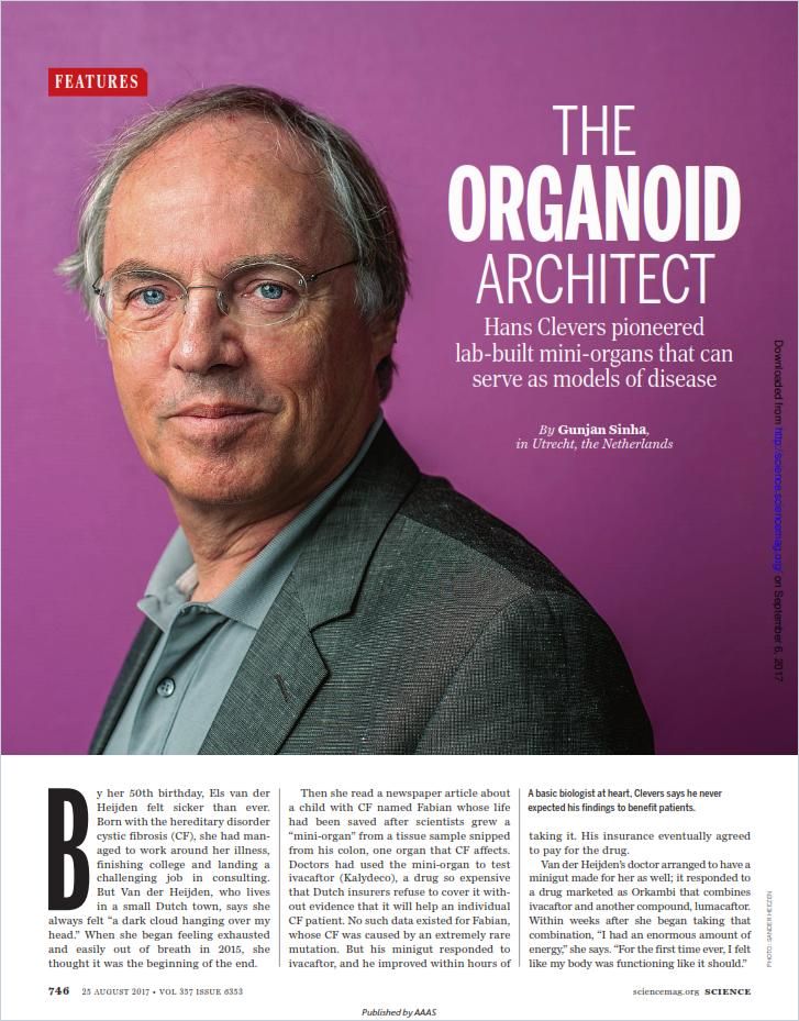 Image of: The Organoid Architect