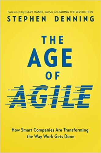 Image of: The Age of Agile