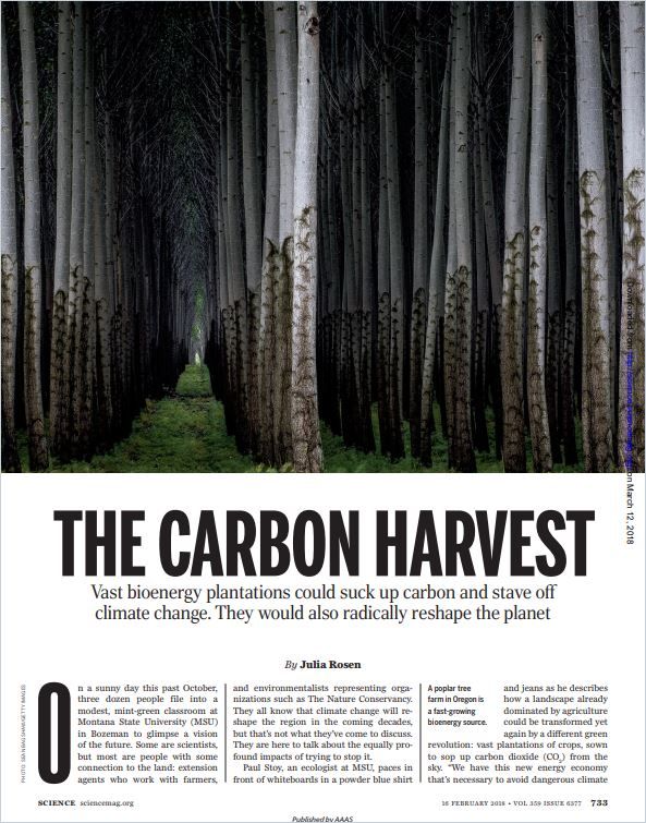 Image of: The Carbon Harvest