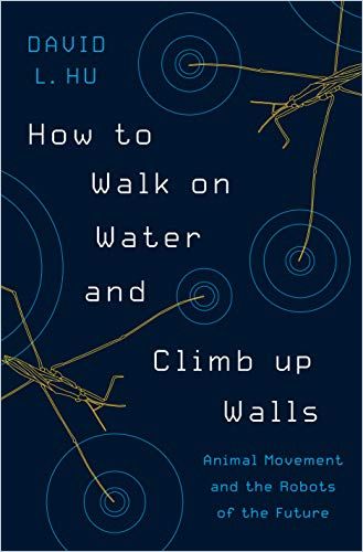Image of: How to Walk on Water and Climb up Walls