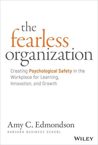 Image of: The Fearless Organization