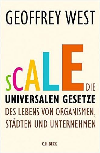 Image of: Scale