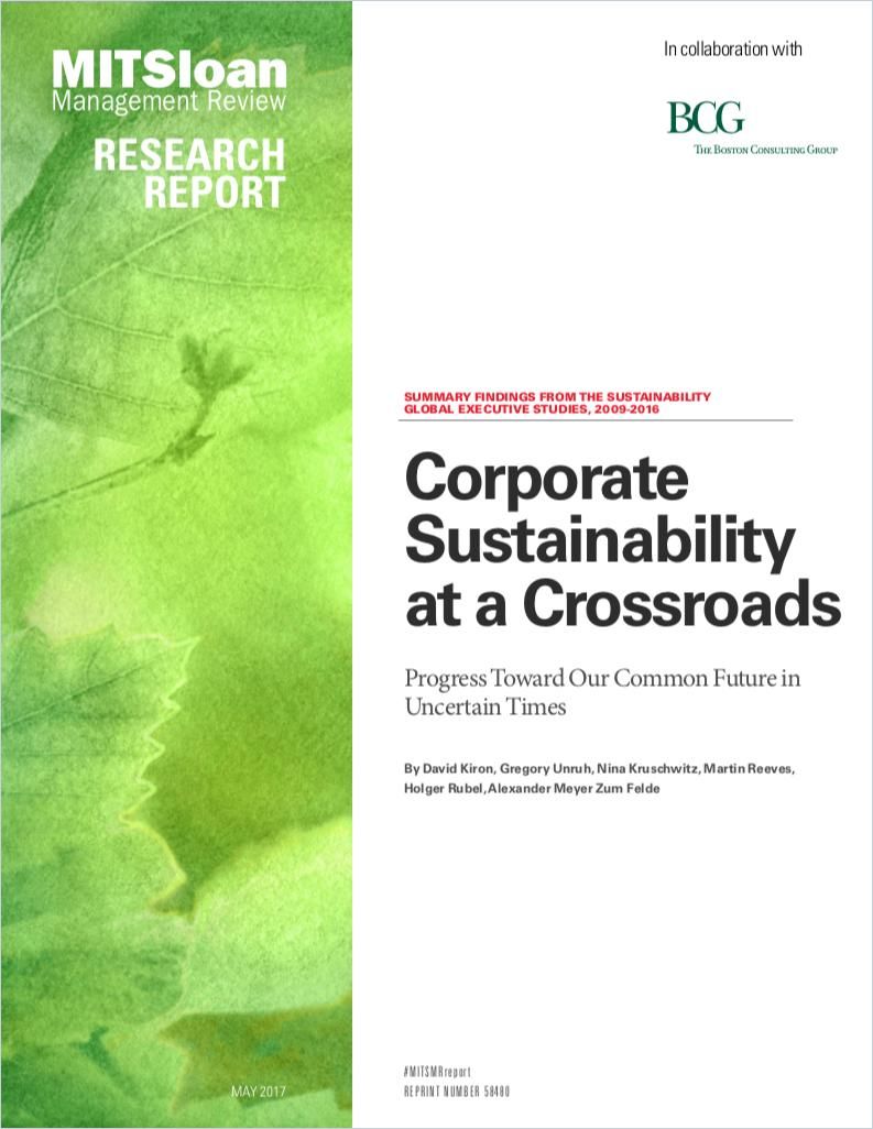 Image of: Corporate Sustainability at a Crossroads