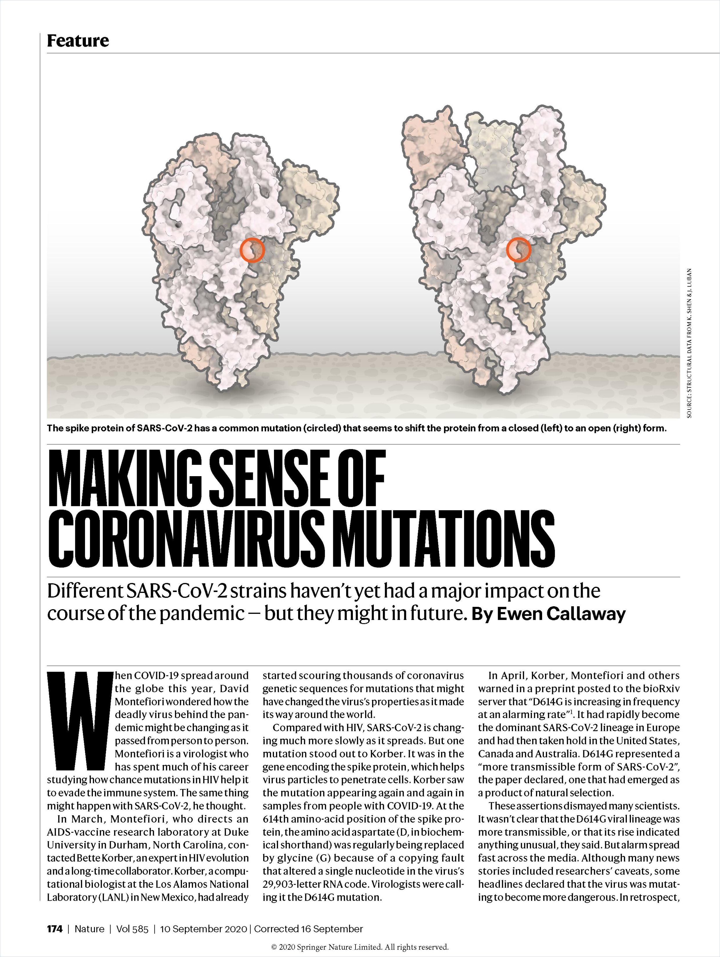 Image of: Making Sense of Coronavirus Mutations