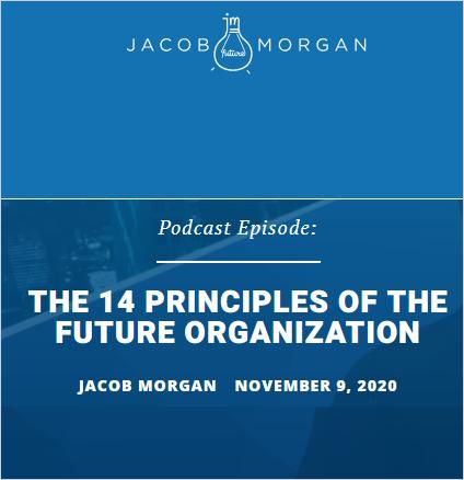 Image of: The 14 Principles of the Future Organization